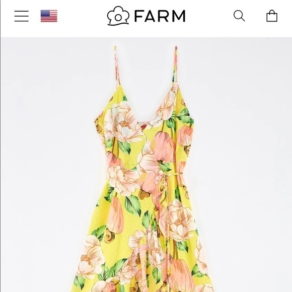 Farm rio cashew Floral print midi Anthropologie - Picture 3 of 9